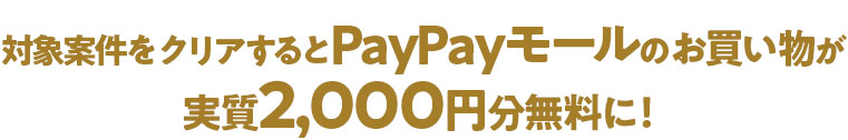 対象案件をクリアするとPayPayモールのお買い物が<br>実質<em>2,000円分無料</em>に！